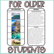 Load image into Gallery viewer, Fluency Drill Cards