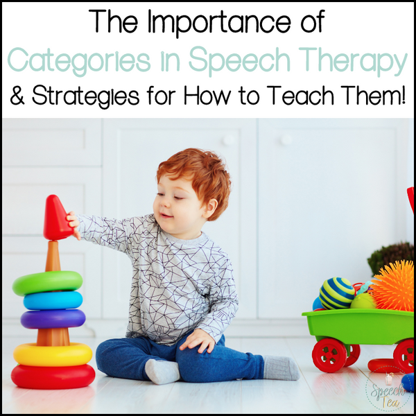 The Importance of Categories in Speech Therapy & Strategies for How to Teach Them!