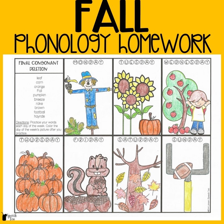 Fall Phonological Processes Homework