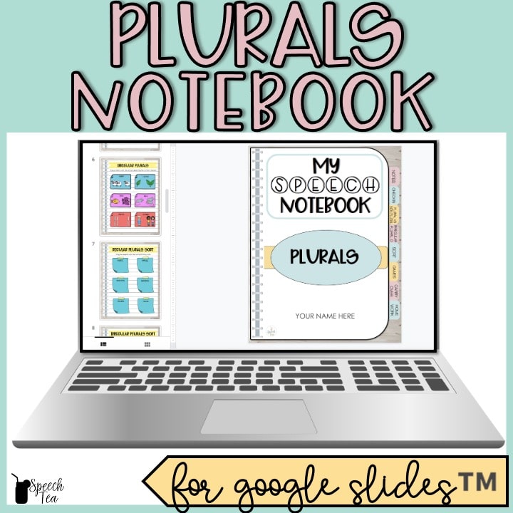 Plurals Digital Interactive Notebook