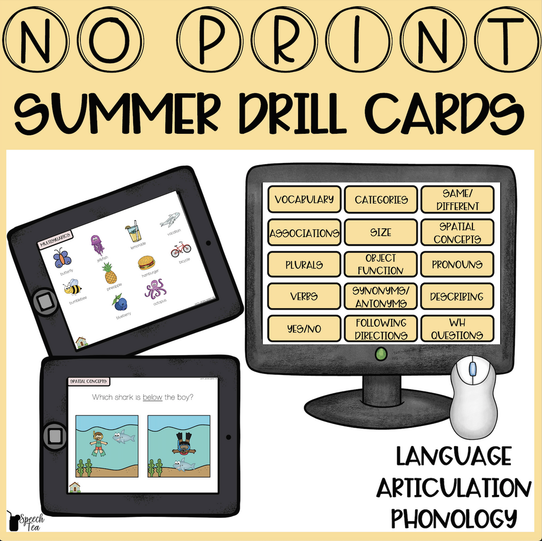 No Print Summer Speech Therapy Drill Cards