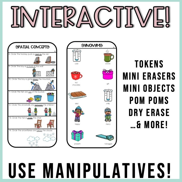 Winter Drill Cards for Speech and Language
