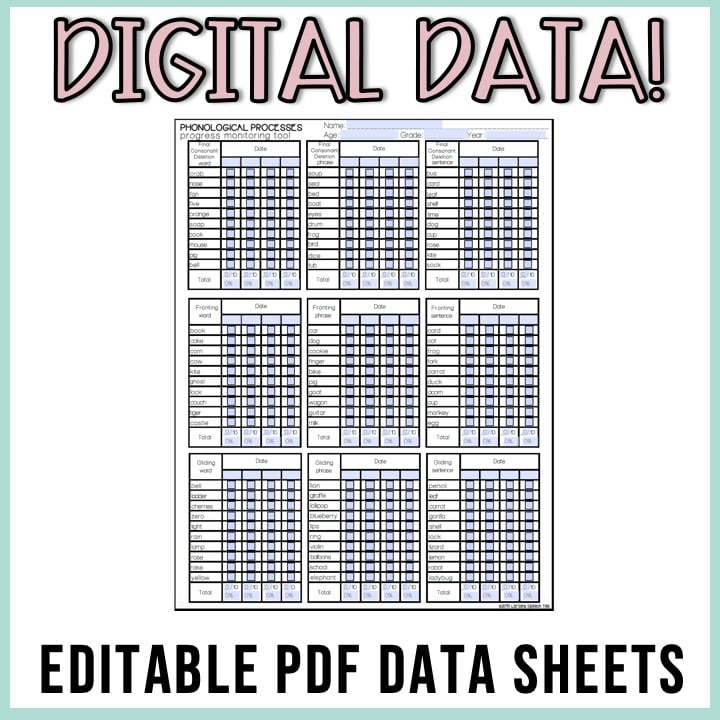 No Print Phonological Processes Drill Cards