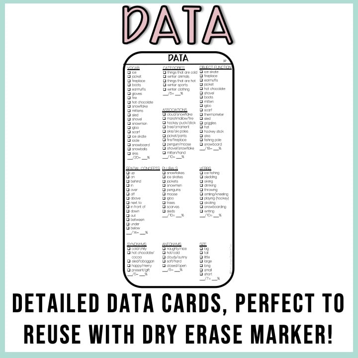 Winter Drill Cards for Speech and Language