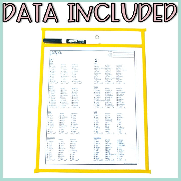 Articulation Drill Cards: Multi-leveled in All Positions