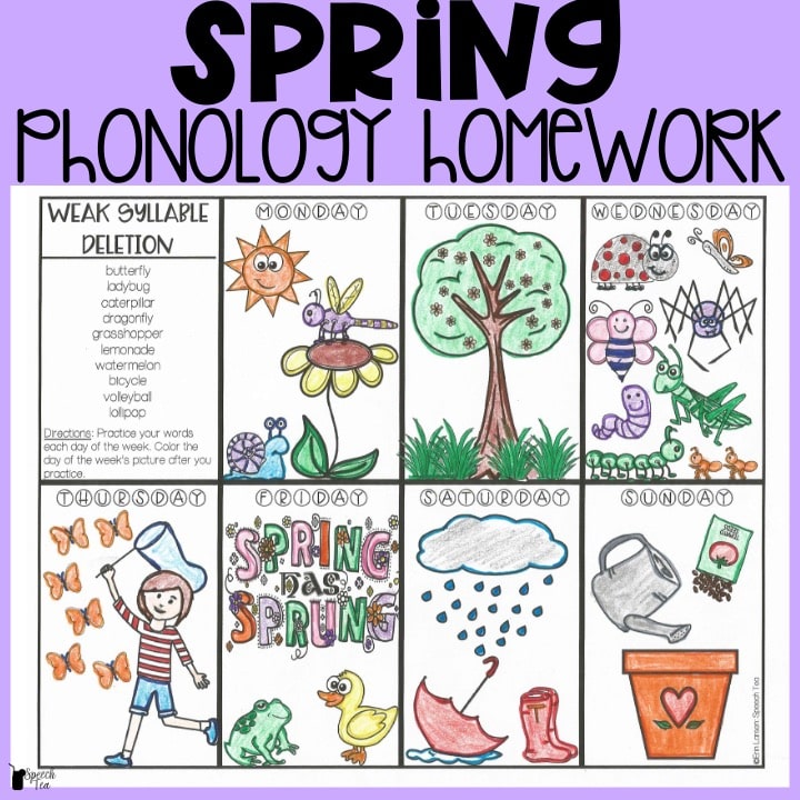 Spring Phonological Processes Homework