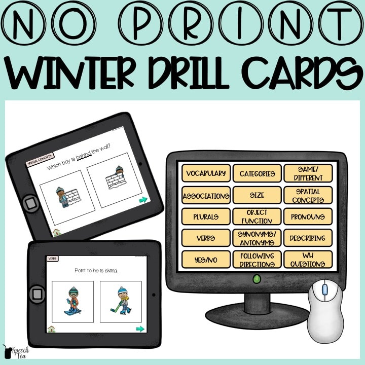 No Print Winter Speech Therapy Drill Cards